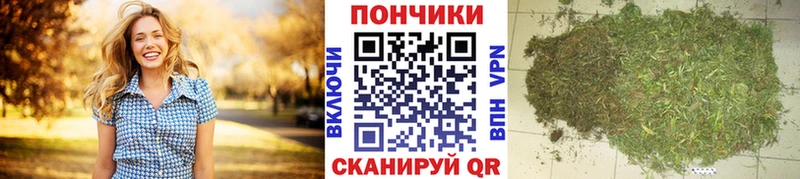 Конопля SATIVA & INDICA  Купить закладки  Мурманск 